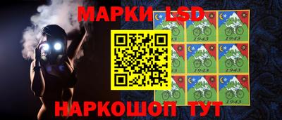 ешки Новодвинск