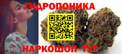 2c-b Новозыбков