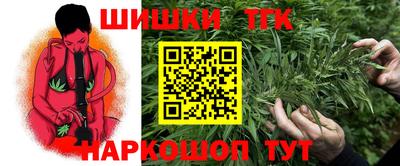 ешки Новодвинск
