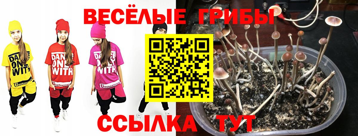 Севастополь  Псилоцибиновые грибы GOLDEN TEACHER  где найти   Вход с VPN 